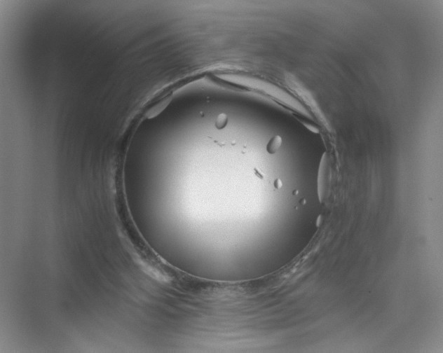 X0000075920106200609291835