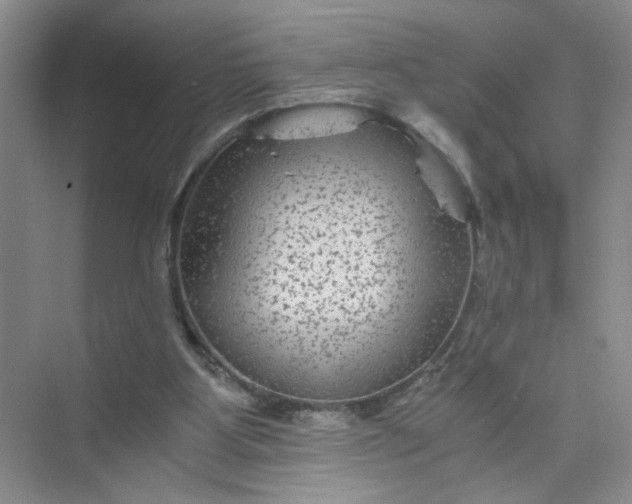 X0000075920107200609291835