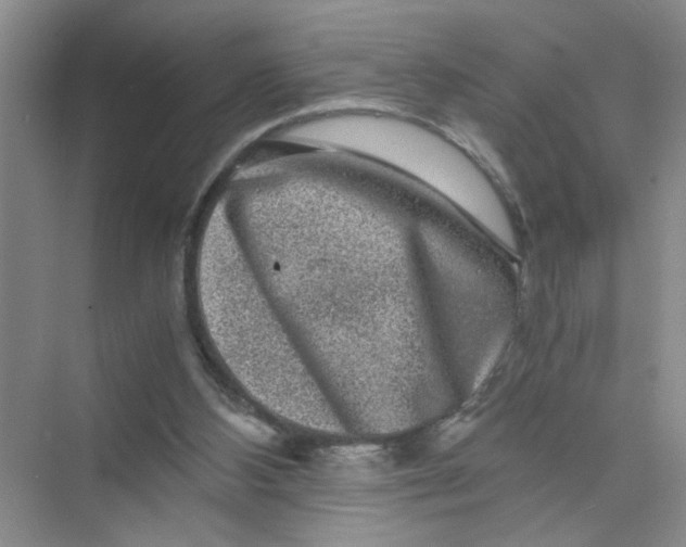 X0000075920108200609291835