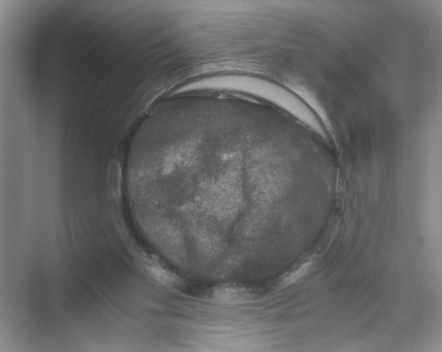 X0000075920109200609291835