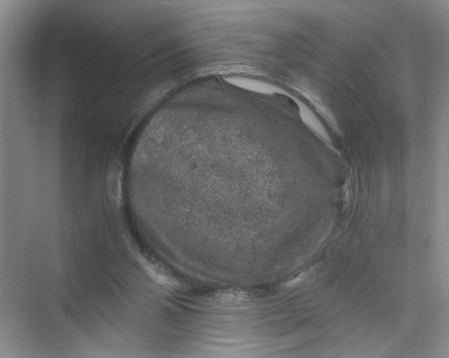 X0000075920110200609291835