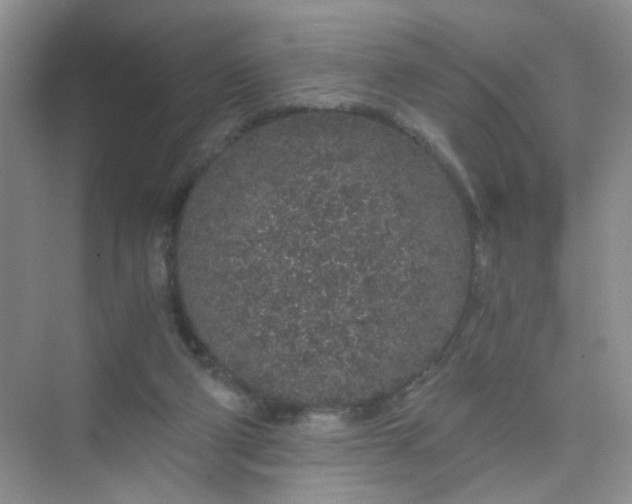 X0000075920114200609291834