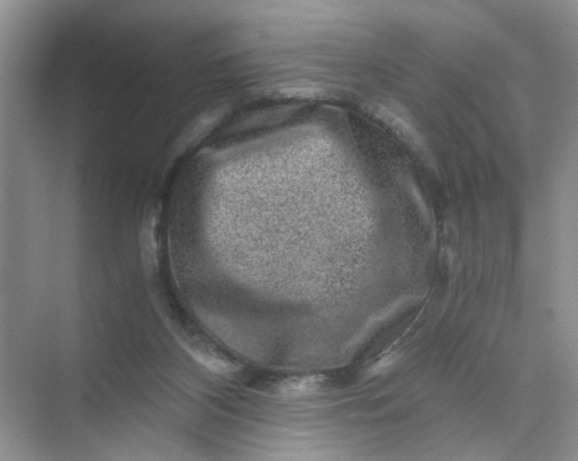 X0000075920116200609291834