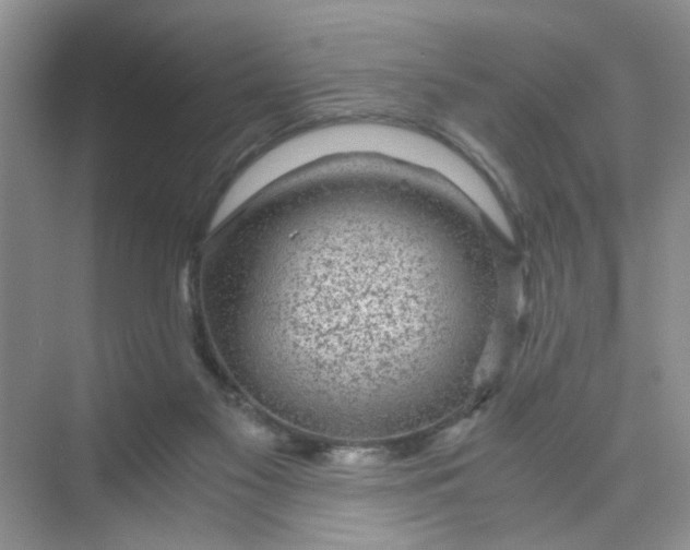 X0000075920117200609291834