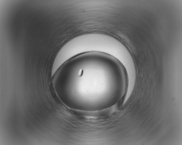 X0000075920121200609291834