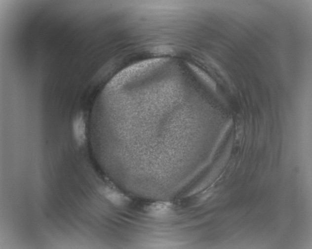 X0000075920124200609291834