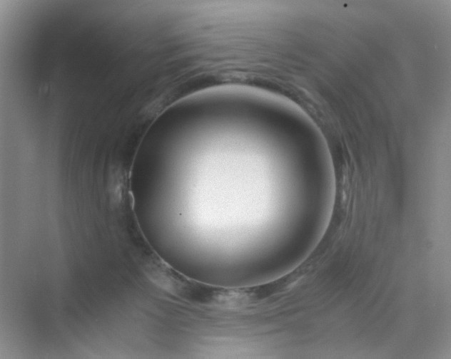 X0000075920125200609291834