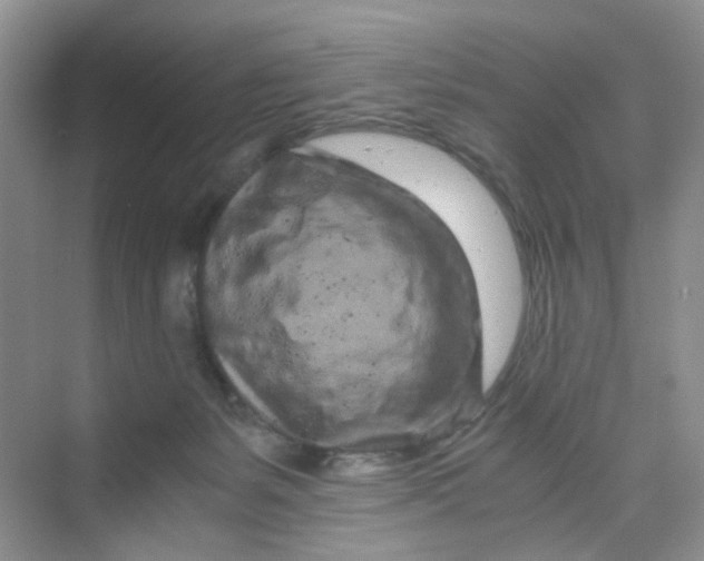 X0000075920127200609291834