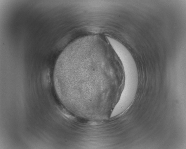 X0000075920128200609291834