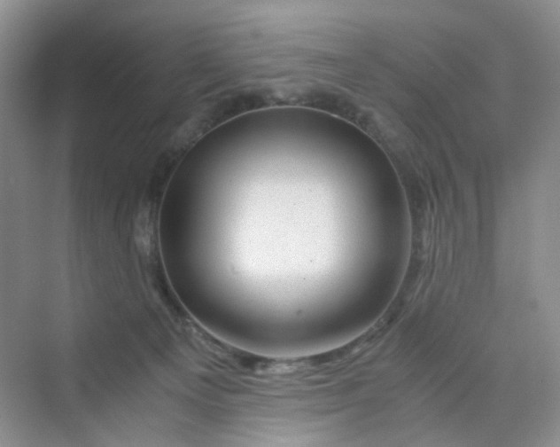 X0000075920129200609291834