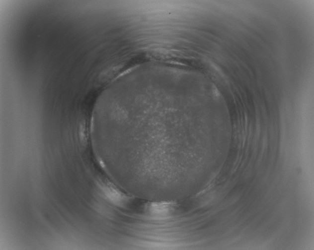 X0000075920134200609291834