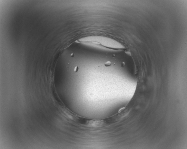 X0000075920135200609291834