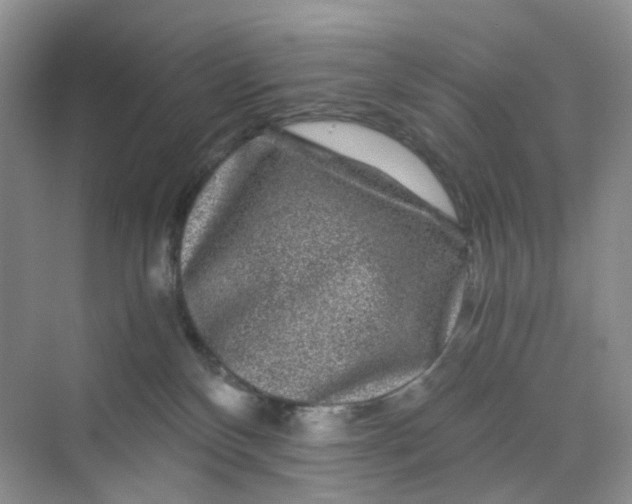 X0000075920136200609291834