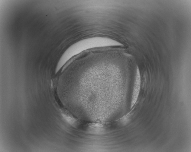 X0000075920140200609291834