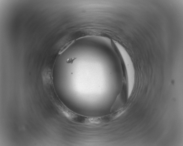 X0000075920141200609291834