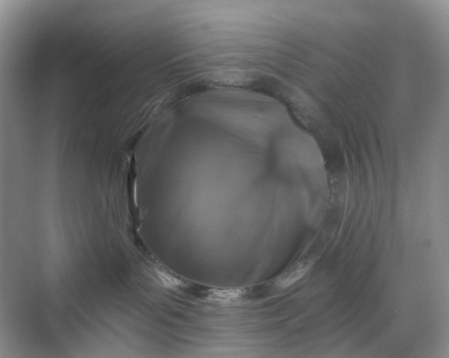 X0000075920143200609291834