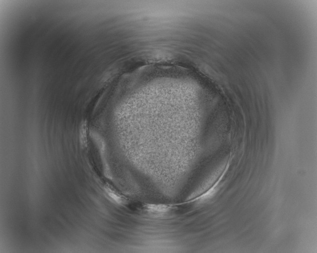 X0000075920144200609291834