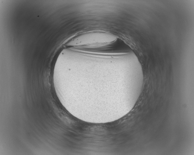 X0000075920146200609291833