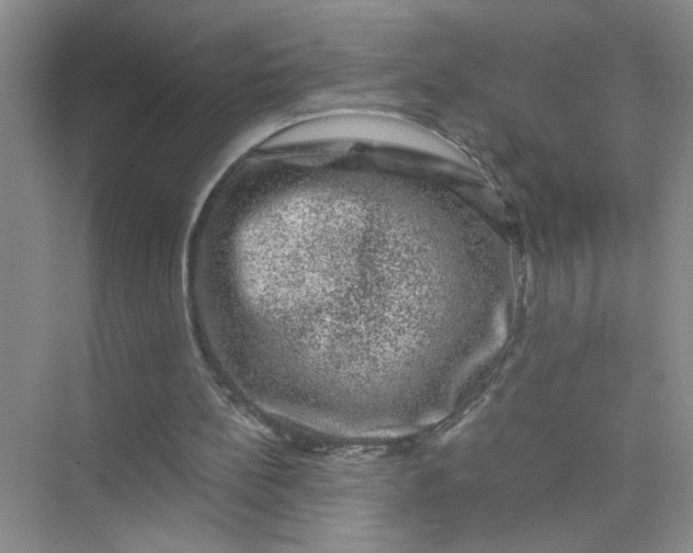 X0000075920148200609291833