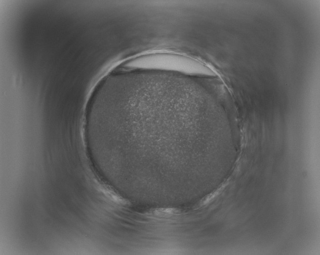 X0000075920152200609291833