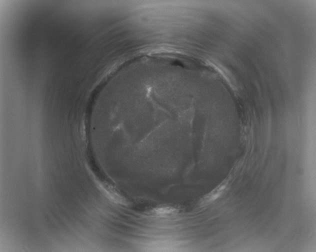 X0000075920158200609291833