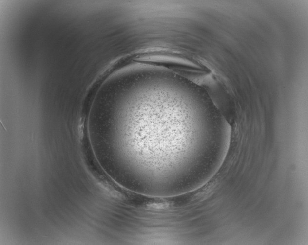 X0000075920160200609291833