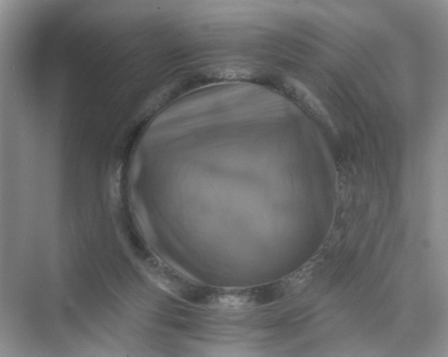 X0000075920163200609291833