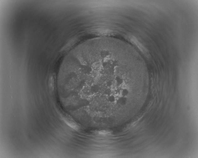 X0000075920165200609291834