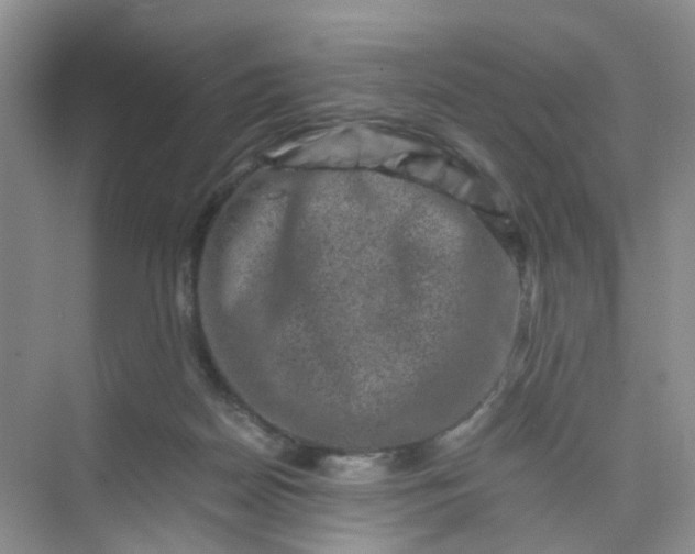 X0000075920170200609291834