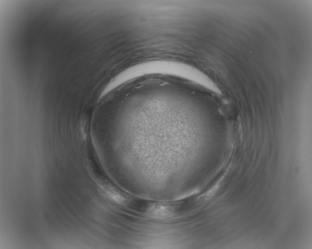 X0000075920174200609291834