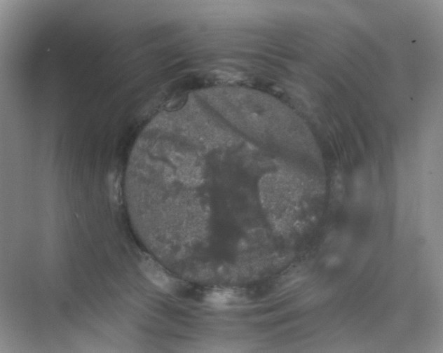 X0000075920177200609291834