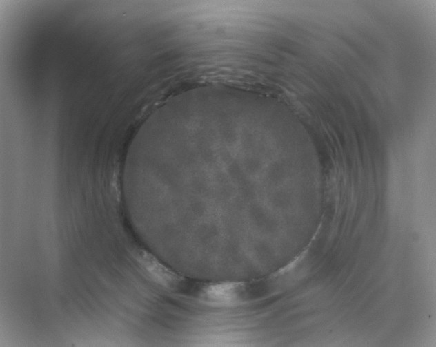 X0000075920178200609291834