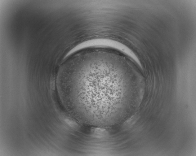 X0000075920180200609291834