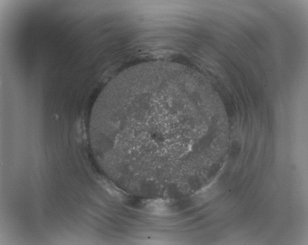 X0000075920182200609291834