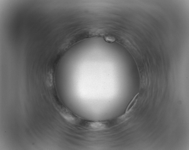 X0000075920183200609291834