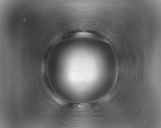 X0000075920188200609291834