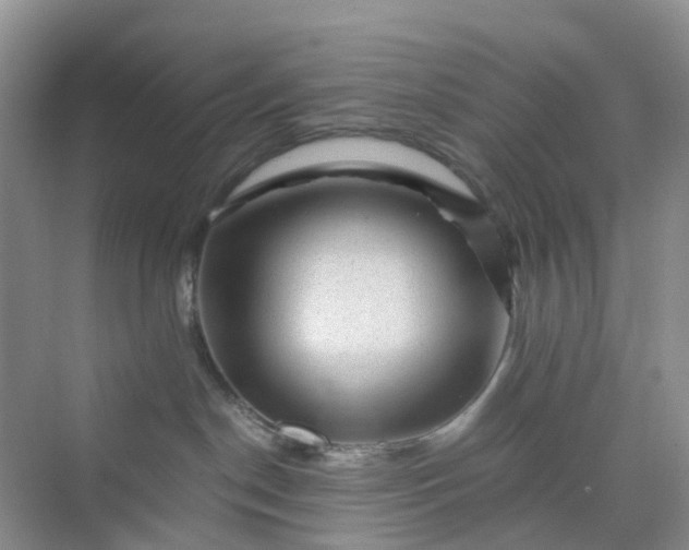 X0000075920190200609291834