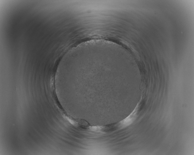 X0000075920192200609291834