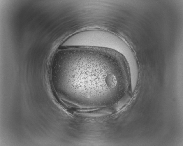 X0000075920193200609291833