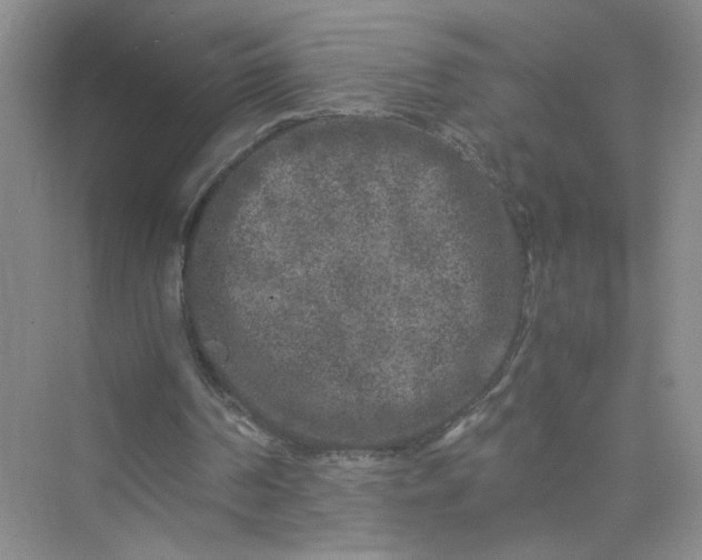 X0000075920194200609291833