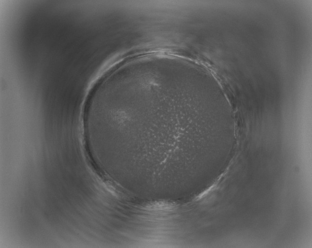 X0000075920198200609291833