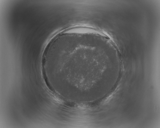 X0000075920199200609291833