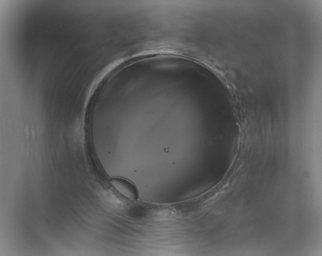 X0000075920200200609291833