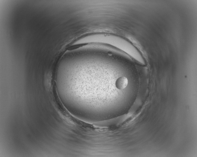 X0000075920201200609291833