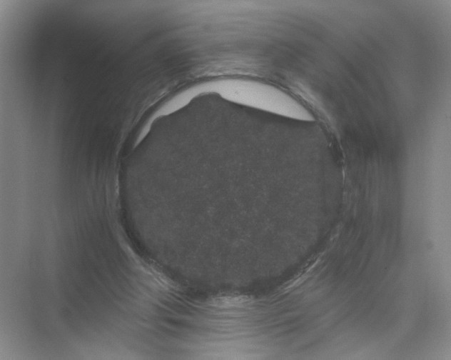 X0000075920202200609291833