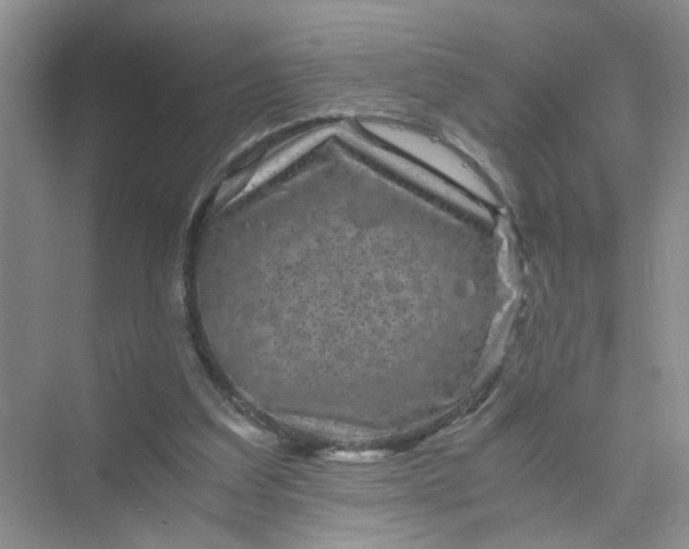 X0000075920203200609291833