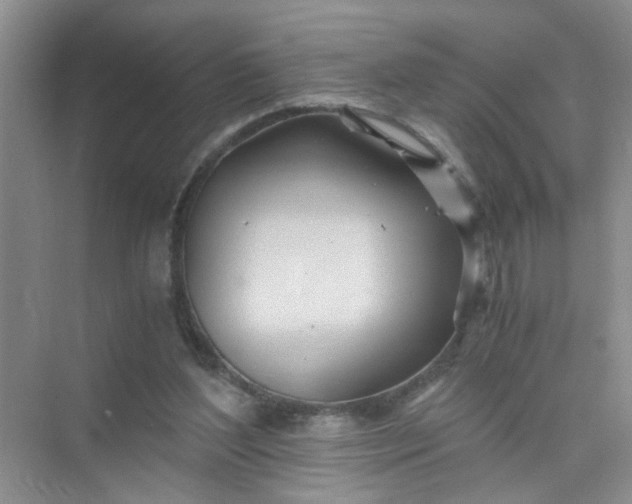 X0000075920204200609291833