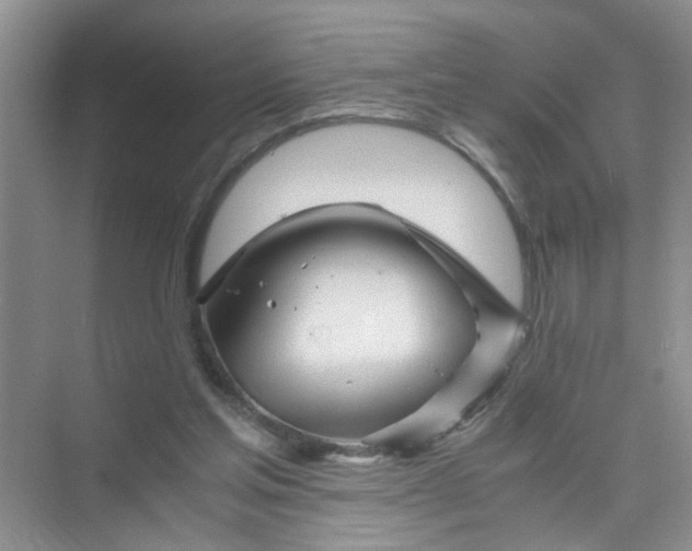 X0000075920205200609291833