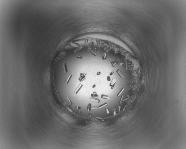 X0000075920207200609291833