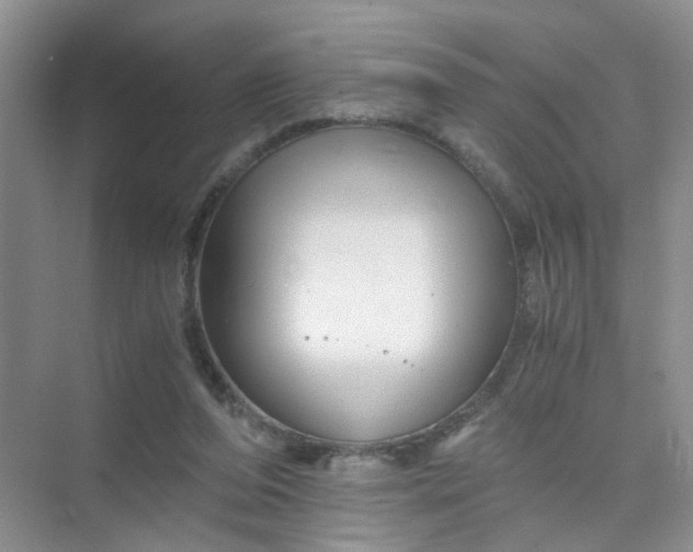 X0000075920208200609291833